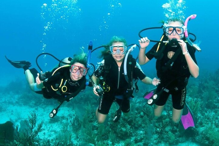 Explore the underwater world of Dubai with this scuba diving adventure where you’ll learn essential skills and immerse yourself in marine life among vibrant coral reefs.